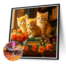 Load image into Gallery viewer, Diamond Painting - Full Round - three cats (40*40CM)
