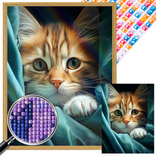 Load image into Gallery viewer, AB Diamond Painting - Full Square - cat cat (30*40CM)
