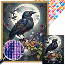 Load image into Gallery viewer, AB Diamond Painting - Full Square - crow (30*40CM)
