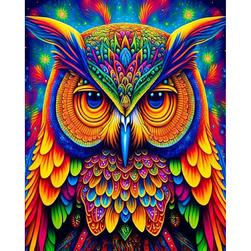 Diamond Painting - Full Round - color owl (40*50CM)