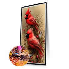 Load image into Gallery viewer, AB Diamond Painting - Full Round - cardinal (40*70CM)

