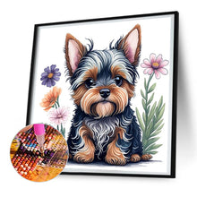 Load image into Gallery viewer, Diamond Painting - Full Round - Yorkshire puppy (30*30CM)
