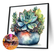 Load image into Gallery viewer, Diamond Painting - Full Round - succulent plants (30*30CM)
