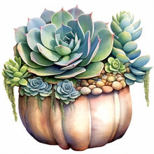 Load image into Gallery viewer, Diamond Painting - Full Round - succulent plants (30*30CM)

