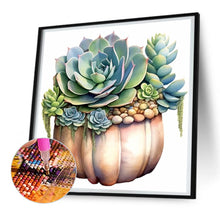Load image into Gallery viewer, Diamond Painting - Full Round - succulent plants (30*30CM)
