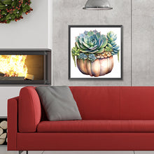 Load image into Gallery viewer, Diamond Painting - Full Round - succulent plants (30*30CM)
