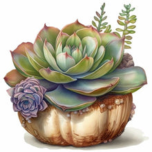 Load image into Gallery viewer, Diamond Painting - Full Round - succulent plants (30*30CM)

