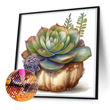 Load image into Gallery viewer, Diamond Painting - Full Round - succulent plants (30*30CM)
