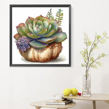 Load image into Gallery viewer, Diamond Painting - Full Round - succulent plants (30*30CM)
