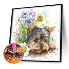 Load image into Gallery viewer, Diamond Painting - Full Round - cute puppy (30*30CM)
