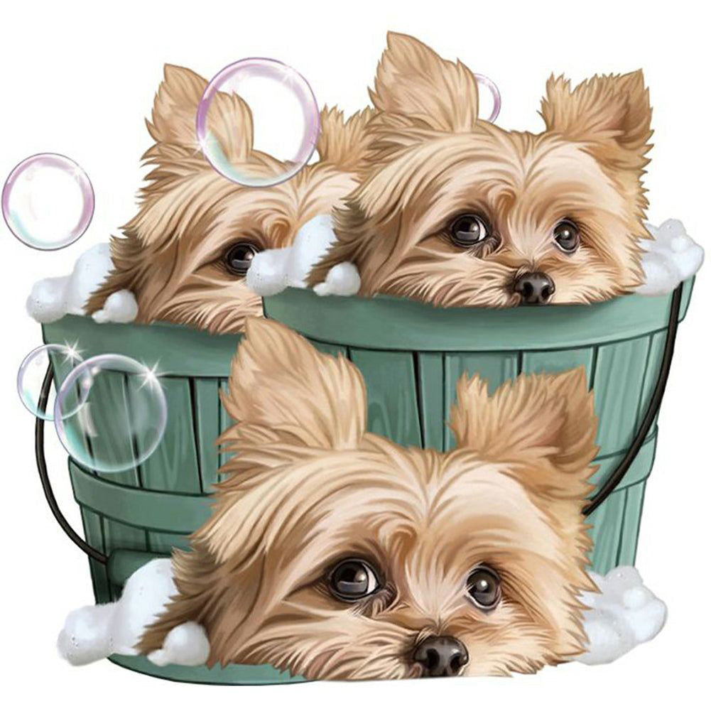 Diamond Painting - Full Round - cute puppy (30*30CM)