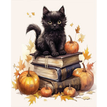 Load image into Gallery viewer, Diamond Painting - Full Round - halloween cat (40*50CM)

