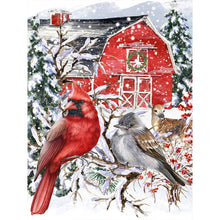 Load image into Gallery viewer, Diamond Painting - Full Round - Funny Christmas (30*40CM)
