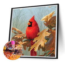 Load image into Gallery viewer, Diamond Painting - Full Round - cardinal (30*30CM)
