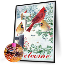 Load image into Gallery viewer, Diamond Painting - Full Round - cardinal (30*40CM)
