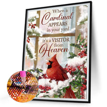 Load image into Gallery viewer, Diamond Painting - Full Round - cardinal (30*40CM)
