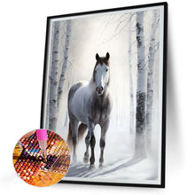 Load image into Gallery viewer, Diamond Painting - Full Round - white horse (30*40CM)
