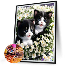 Load image into Gallery viewer, Diamond Painting - Full Round - cat (30*40CM)

