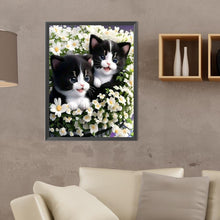 Load image into Gallery viewer, Diamond Painting - Full Round - cat (30*40CM)

