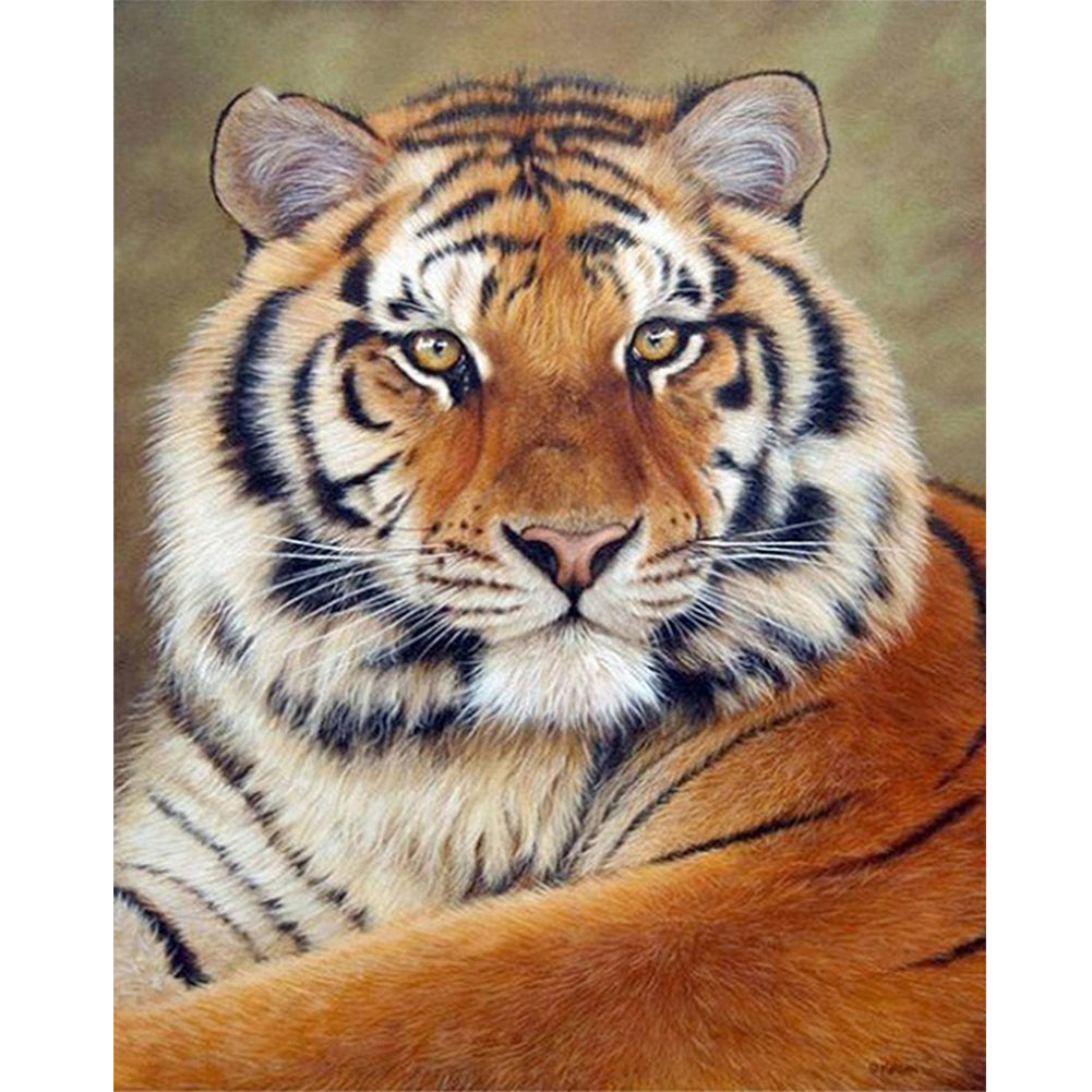 Diamond Painting - Full Round - tiger (40*50CM)