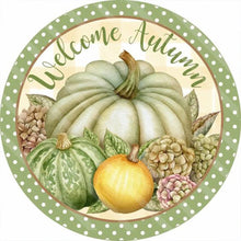 Load image into Gallery viewer, Diamond Painting - Full Round - halloween pumpkin (30*30CM)
