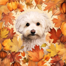 Load image into Gallery viewer, Diamond Painting - Full Round - maple leaf puppy (30*30CM)
