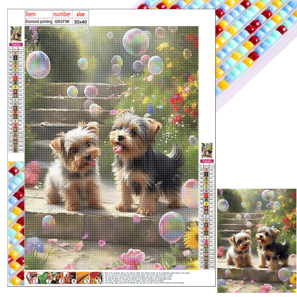 Diamond Painting - Full Square - Yorkshire puppy (30*40CM)