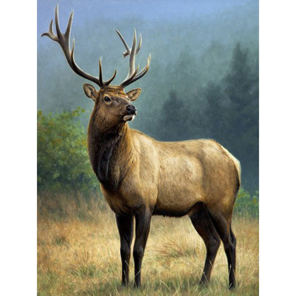 Diamond Painting - Full Round - Elk (30*40CM)