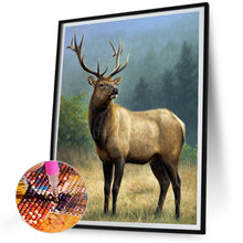 Load image into Gallery viewer, Diamond Painting - Full Round - Elk (30*40CM)
