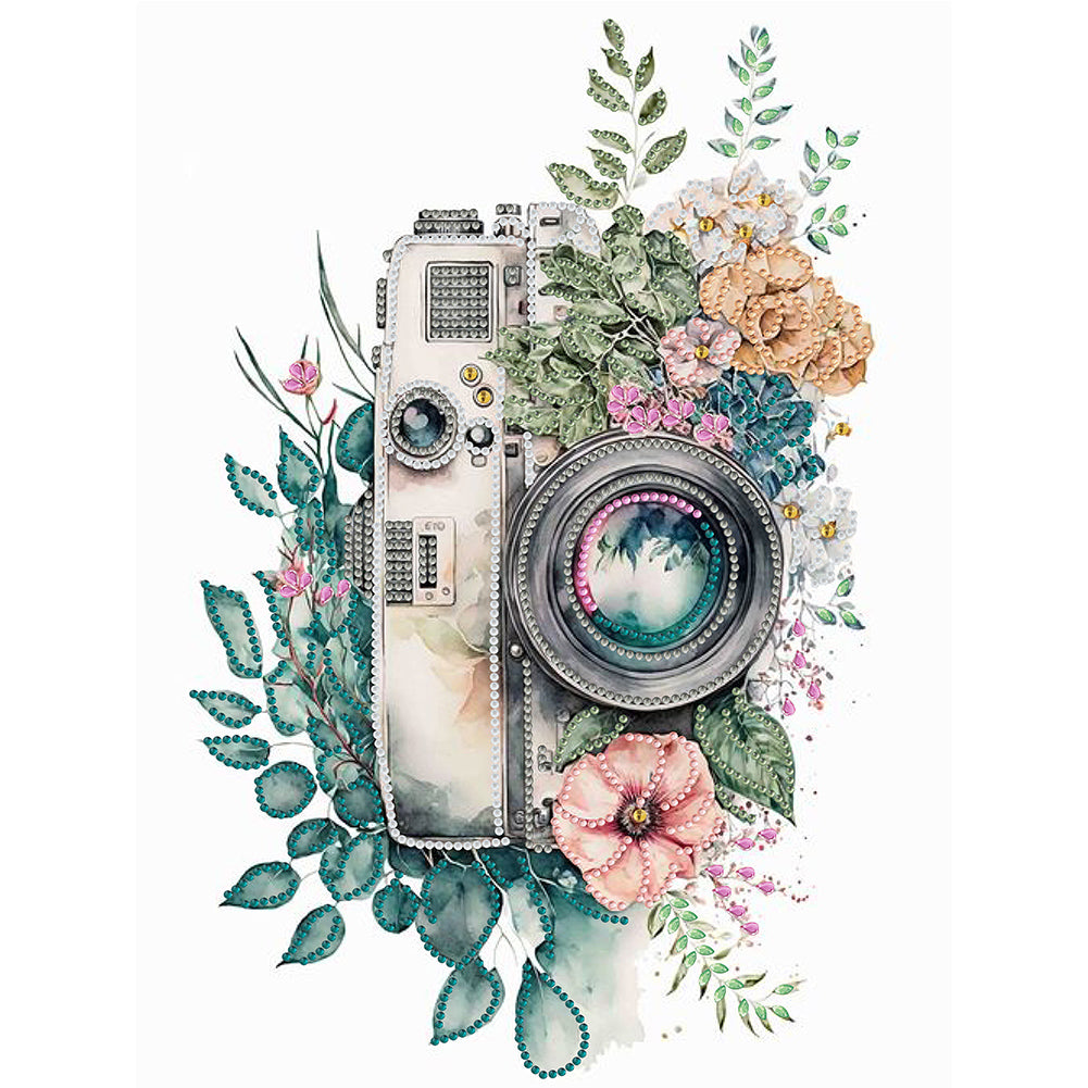 Diamond Painting - Partial Special Shaped - camera (30*40CM)