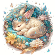 Load image into Gallery viewer, Diamond Painting - Partial Special Shaped - sleeping animals (30*30CM)
