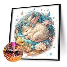 Load image into Gallery viewer, Diamond Painting - Partial Special Shaped - sleeping animals (30*30CM)
