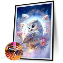 Load image into Gallery viewer, AB Diamond Painting - Full Round - owl (40*60CM)
