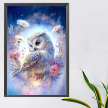 Load image into Gallery viewer, AB Diamond Painting - Full Round - owl (40*60CM)
