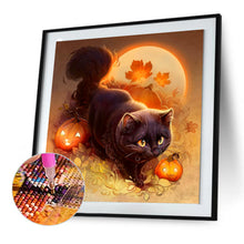 Load image into Gallery viewer, Diamond Painting - Full Round - pumpkin cat (30*30CM)
