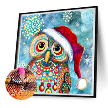 Load image into Gallery viewer, Diamond Painting - Full Round - Christmas Owl (30*30CM)
