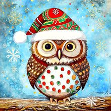 Load image into Gallery viewer, Diamond Painting - Full Round - Christmas Owl (30*30CM)
