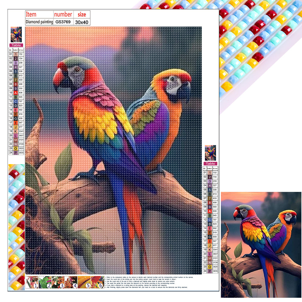 Diamond Painting - Full Square - Parrot (30*40CM)