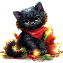 Load image into Gallery viewer, Diamond Painting - Full Round - Lantern black cat (30*30CM)
