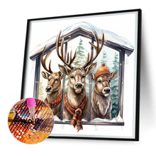 Load image into Gallery viewer, Diamond Painting - Full Round - window animal elk (30*30CM)
