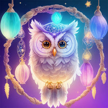 Load image into Gallery viewer, Diamond Painting - Full Round - Owl Dream Catcher (30*30CM)
