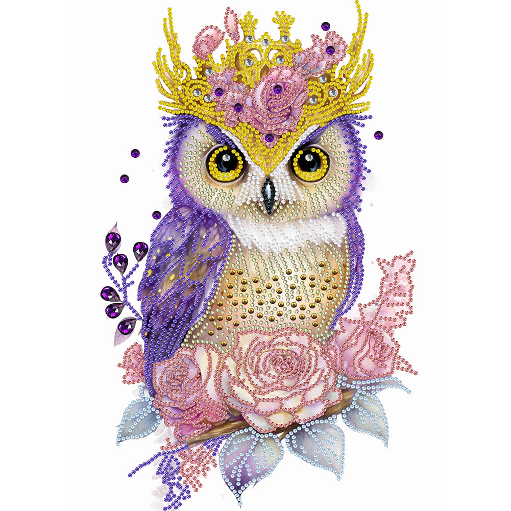 Diamond Painting - Partial Special Shaped - Garland Owl (30*40CM)