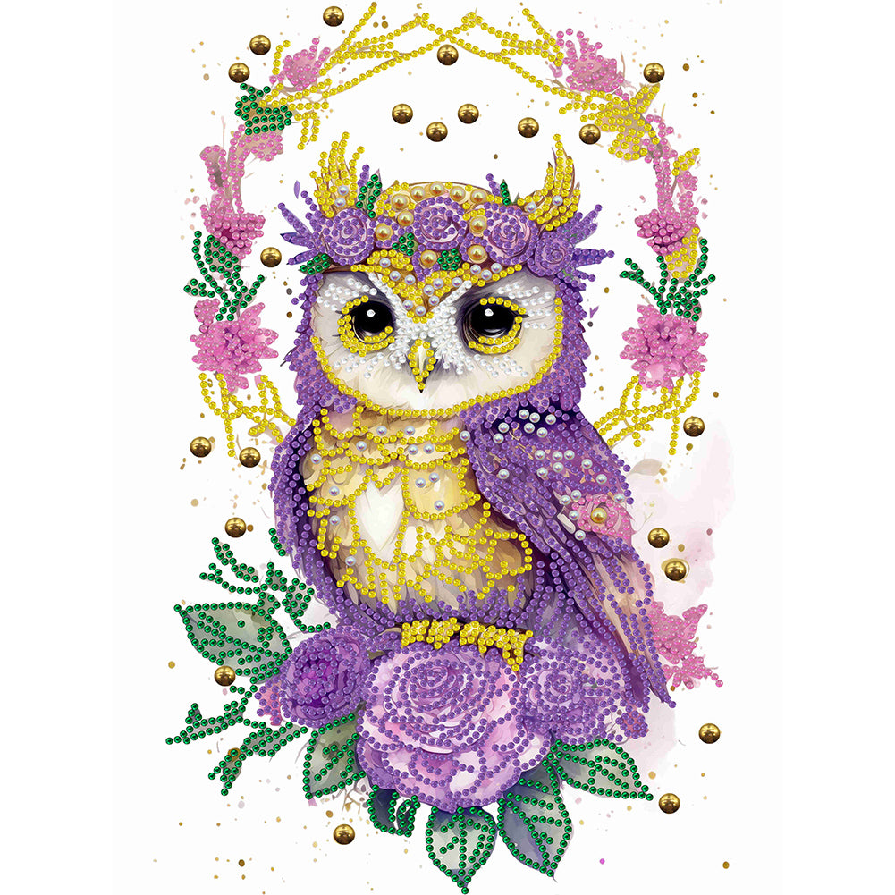 Diamond Painting - Partial Special Shaped - Garland Owl (30*40CM)
