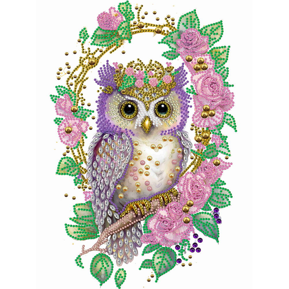 Diamond Painting - Partial Special Shaped - Garland Owl (30*40CM)
