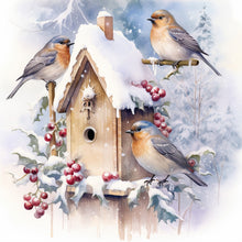 Load image into Gallery viewer, Diamond Painting - Full Round - snow bird (30*30CM)
