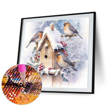 Load image into Gallery viewer, Diamond Painting - Full Round - snow bird (30*30CM)
