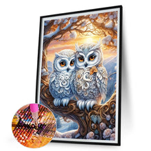 Load image into Gallery viewer, Diamond Painting - Full Round - owl (30*45CM)
