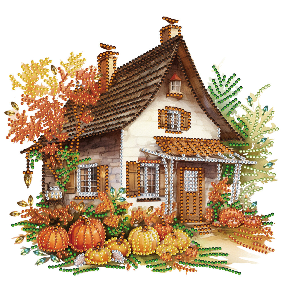 Diamond Painting - Partial Special Shaped - Pumpkin Hut (30*30CM)