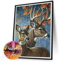 Load image into Gallery viewer, Diamond Painting - Full Round - Elk (30*40CM)
