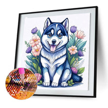 Load image into Gallery viewer, Diamond Painting - Full Round - cute husky (30*30CM)
